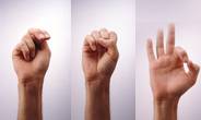 Hands doing sign language