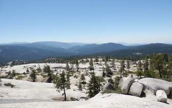 granite domes and conifer trees in the mountains