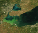 Satellite view of a widespread algae bloom in September 2013, in Lake Erie.