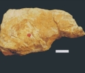 Tools excavated at Majuangou