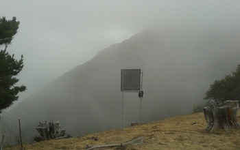 a fog collector on a mountain in Big Creek Reserve in California's Big Sur.