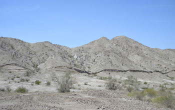 Photo showing a scarp offsetting the ground along a fresh rupture of the Borrego Fault.