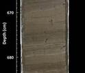 Sediment core section