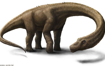 Dreadnoughtus schrani dinosaur rendition