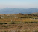 Grasslands amid mountains in southeastern Australia