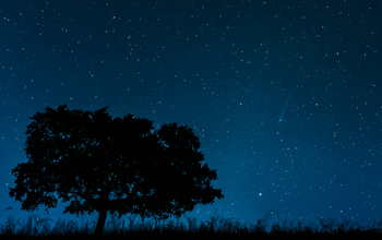 Photo of stars in the sky and the comet ISON