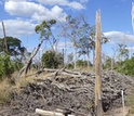 Forest with bare land degraded by experimental fires in Mato Grosso, Brazil.