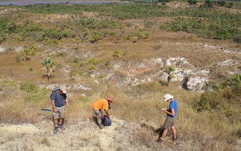 Scientists near the Madagascar site where Vintana sertichi's skull was found.