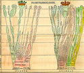 Fold-out paleontological chart by Edward Hitchcock in his 1840 work Elementary Geology.