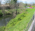 Urban landscapes change with human activities such as creation of stormwater ponds.