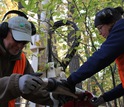 Scientists with equipment working in a forest