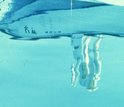 Reflection of boat on the water to see transparency in Lake Mendota, Wisconsin.