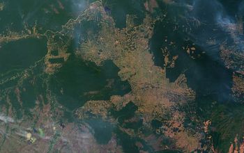 satellite image of fire and deforestation in western Brazil