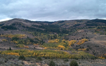 Trees and hills at the Reynolds Creek in southwest Idaho.