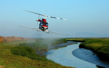 Helicopter spraying herbicide to eradicate invasive Spartina in San Francisco Bay.