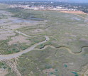 Helicopter view of ongoing eradication program at Cooley Landing along San Francisco Bay.