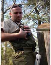 VA Tech associate professor Bill Hopkins holds a female wood duck at a field site in South Carolina.