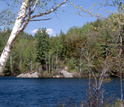 Lake surrounded by trees in Northeast US