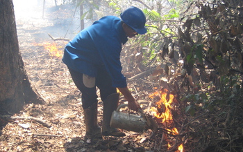 Scientist advancing  a fire line in an experimental fire plot in Mato Grosso, Brazil.