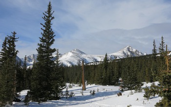 A Colorado Rocky Mountain forest during the winter-spring transition period, which is changing.