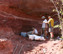 Paleontologists remove the remaining portions of Rukwatitan's skeleton from the quarry.