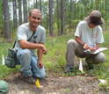 Scientists Julian Resasco (left) and Elizabeth Long at a fire ant site in a forest