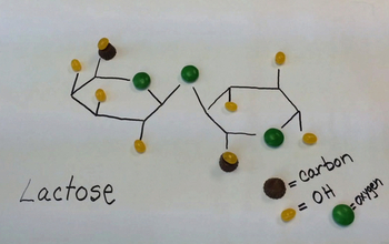 lactose moelcular structure