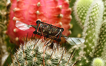 Inspired by nature, researchers developed repair techniques that enable aerial microbots to recover flight performance after wing damage.