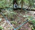 scientist in the forest with marked study area