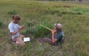 Two researchers with instruments working on Yellowstone's northern range clip willows
