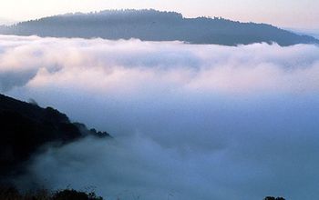 Fog over the estuary of the Klamath River along the Pacific Coast.