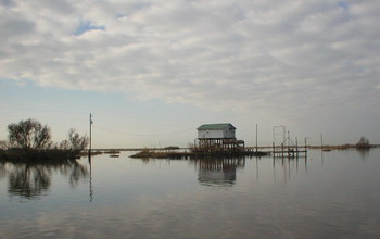 A fishing camp along Falgout Canal Bayou, Louisiana, where marsh has been flooded by seawater.