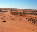 Red sand dunes in Africa's Kalahari Desert.