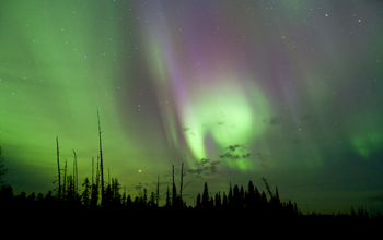 <em>Aurora borealis</em>, Alberta, Canada