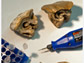 Specimens of 12-million-year old alligator, left, and rhinoceros fossil teeth