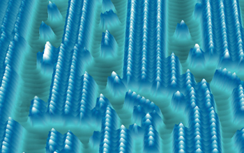 Dibutylselenide molecules arrange themselves within specific areas of a gold surface