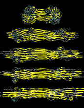 Strength of spider silk lies in the specific geometric configuration of structural proteins