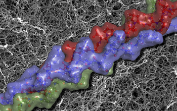 A molecular animation of the triple helical structure of synthetic collagen fibrils