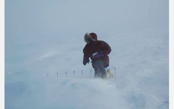 Researcher records snow/ice interface temperatures out on frozen surface of Elson Lagoon,Alaska