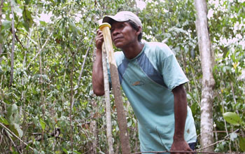 A Makushi indigenous person opening a transect trail in the Amazon basin