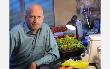 Boris Vinatzer used DNA sequencing technology to trace pathogen back to China