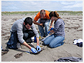Citizen science program volunteers tag a sooty shearwater on the coast of Washington state