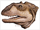 Reconstructed head of <em>Majungasaurus crenatissimus</em>, a theropod dinosaur