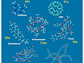 Structures of seven test molecules calculated by a direct self-consistent-field algorithm