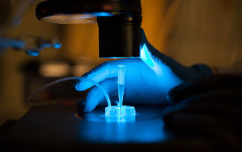 Fluorescent nanoparticles glow under blue light