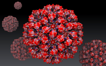 Atomic model of rabbit hemorrhagic disease virus (RHDV) capsid