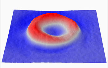 Topography of a red blood cell as measured by spatial light interference microscopy