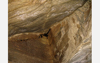 Bat population in Aeolus Cave in Vermont in 2010, one year after infection from WNS