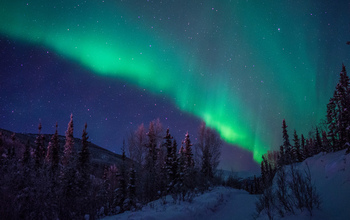 aurora borealis as seen above a snowed forest