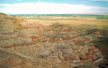 Banded sedimentary rocks in the Willwood formation in Wyoming